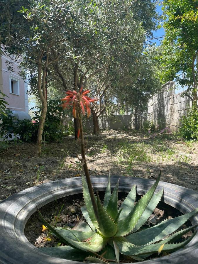Rent Rooms Loren Vlore Exterior photo