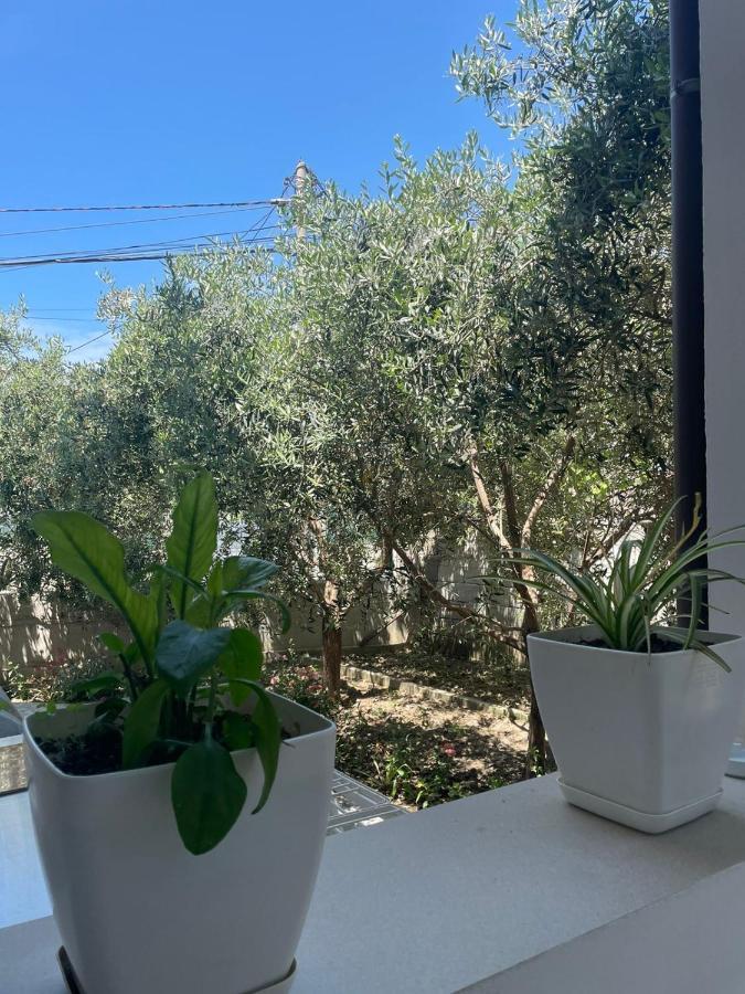 Rent Rooms Loren Vlore Exterior photo