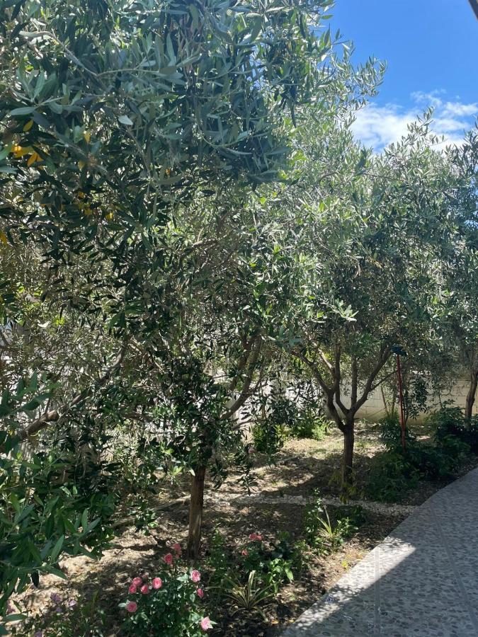 Rent Rooms Loren Vlore Exterior photo